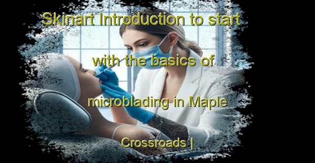 Skinart Introduction to start with the basics of microblading in Maple Crossroads | MicrobladingTraining | MicrobladingClasses | SkinartTraining-United States